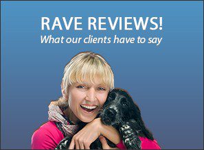 Rave Reviews! What our clients have to say.