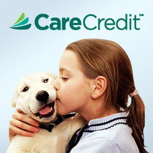 CareCredit